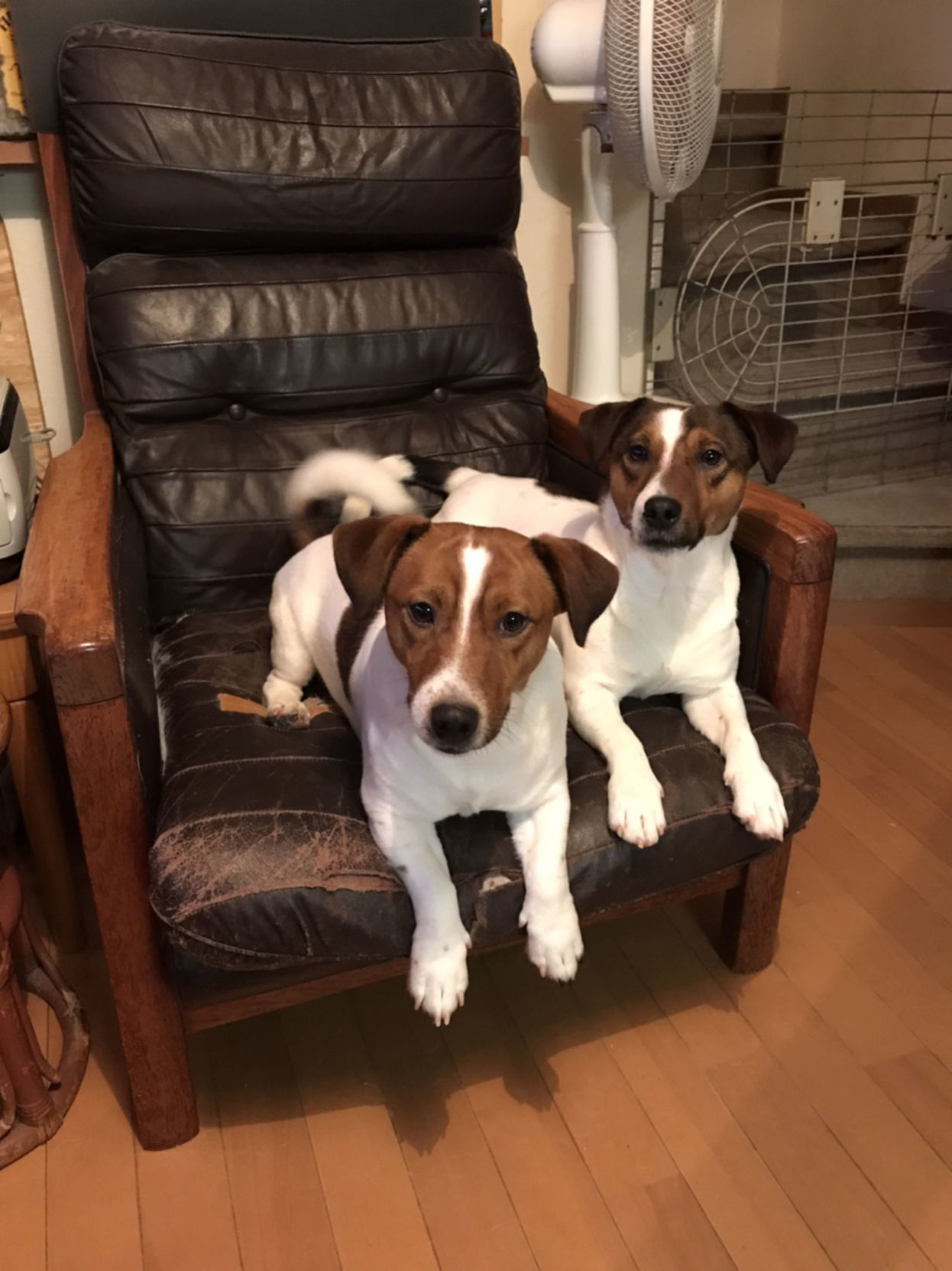 Brothers